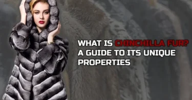 What is Chinchilla fur A Guide to Its Unique Properties