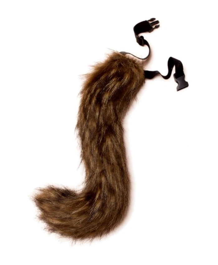 Brittany Chipette Tail