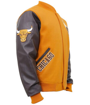 Chicago Bulls Logo Varsity Jacket