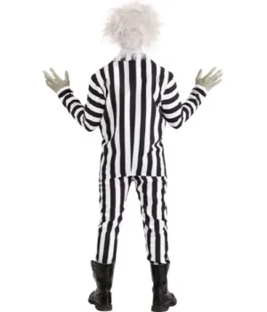Beetlejuice Zebra Halloween Costume For Adult