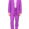 Dumb and Dumber Suits Purple Costume