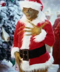 How the Grinch Stole Jim Carrey Christmas Costume