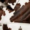 Classic Chest Pocket Cowhide Leather Jacket for Mens