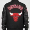 Buy Now Chicago Bulls Animal Patches Black Varsity Jacket For Men And Women