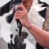 Cowhide From 90s The Rock On Raw Black And White Leather Fur Vest For Sale