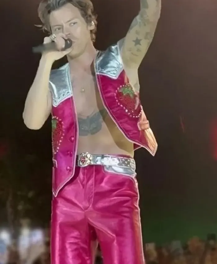 Harry Styles Concert Strawberry Leather Vest