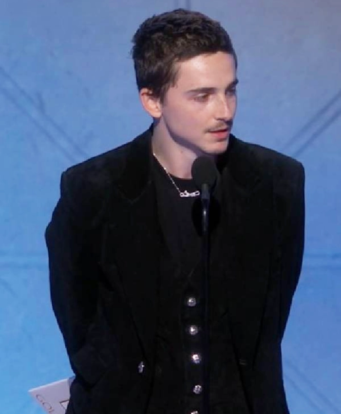 Shop Timothee Chalamet 83rd Golden Globe Awards Blazer