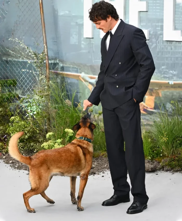 Jacob Elordi The Dog Stars 2026 Black Pinstripe Double Breasted Suit Sale