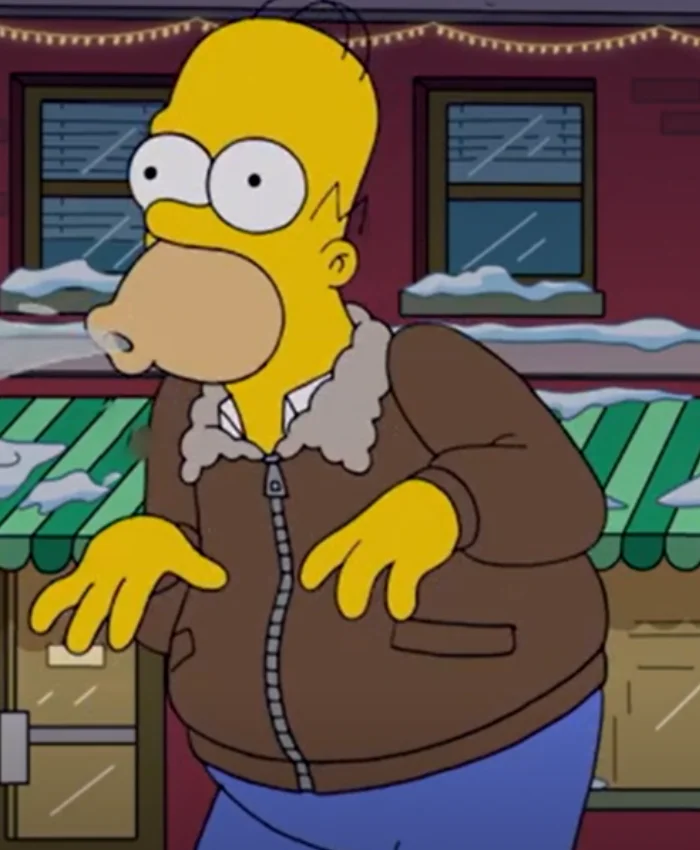 The Simpsons Homer Simpson Brown Leather Jacket