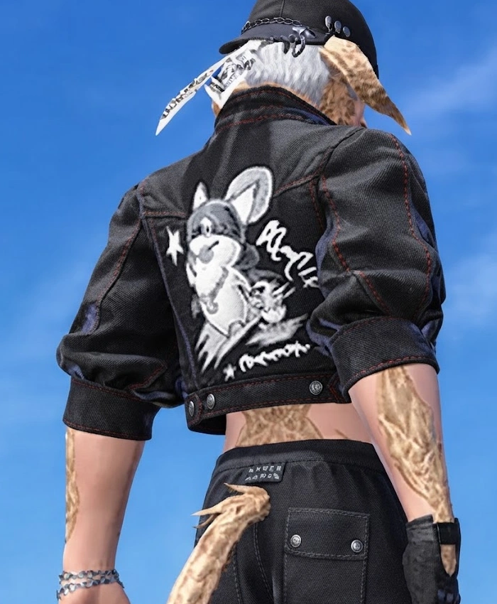 Ffxiv Street Jacket