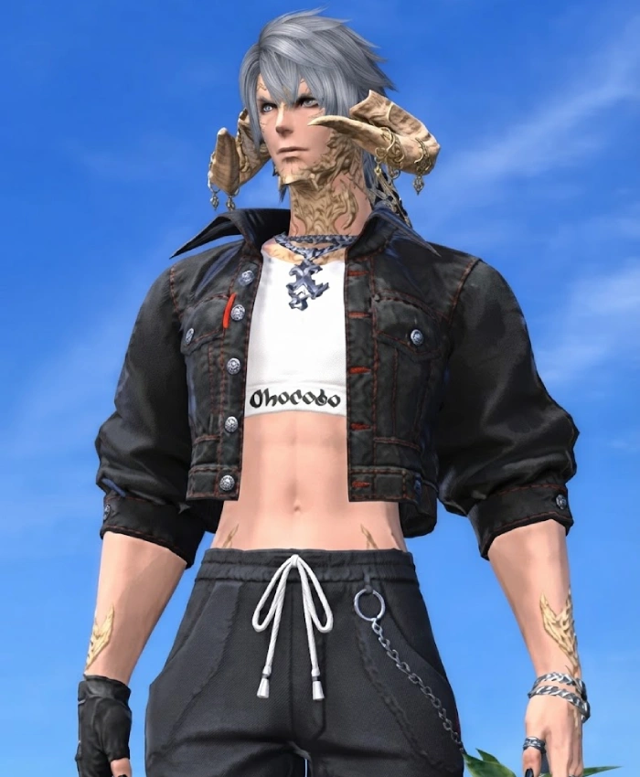 Ffxiv Street Jacket