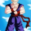 Adult Gohan Costume