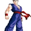 Adult Gohan Costume