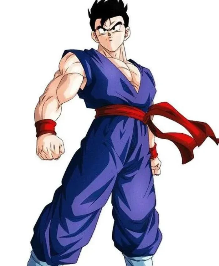 Adult Gohan Costume