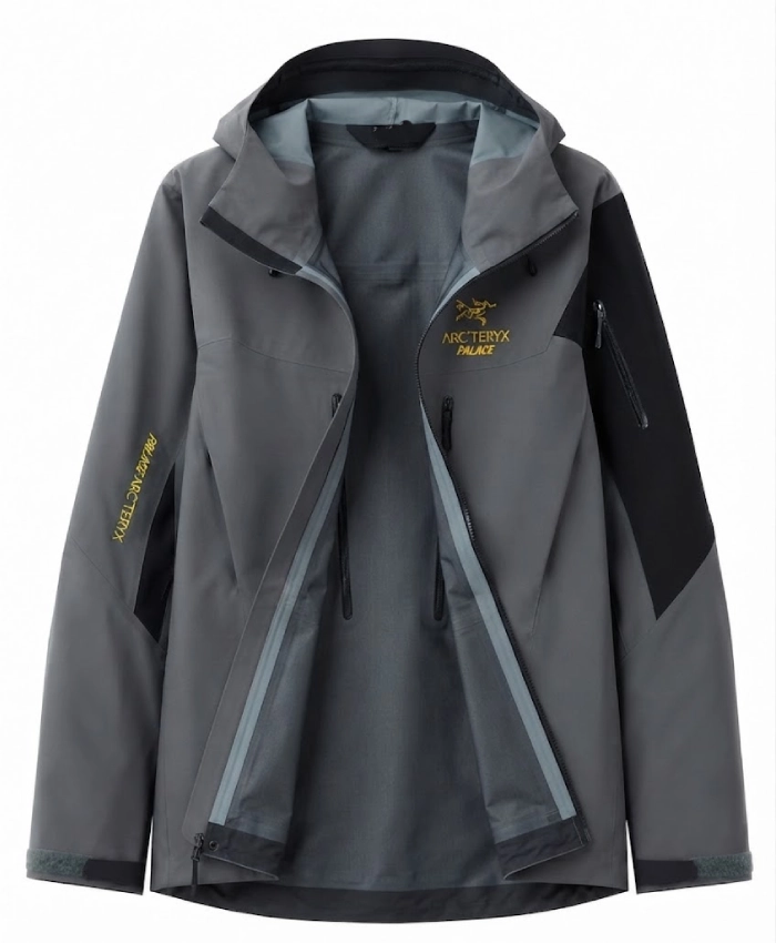 Palace X ArcTeryx Alpha SV Jacket