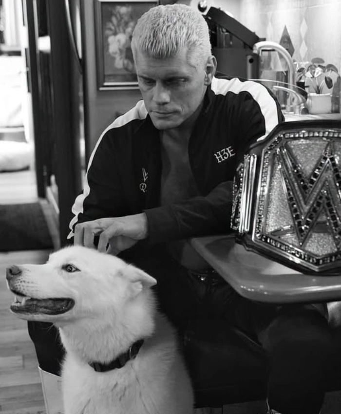Backstage Cody Rhodes Pharaoh H3E Black Jacket For Sale