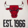 Chicago Bulls Modern Originals Classic Rib Red Varsity Jacket