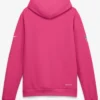Detroit Lions 2026 Crucial Catch Pink Hoodie