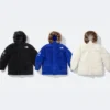 Supreme x North face 600 Fill Down Parka Jacket