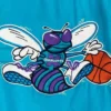 Shop Now Charlotte Hornets 90s Blue Pullover Hooded Jacket