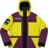 Shop Now Supreme X The North Face Expedition Hooded Jacket On Sale