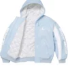 Supreme x Jordan Hooded Leather Blue Jacket For Sale 